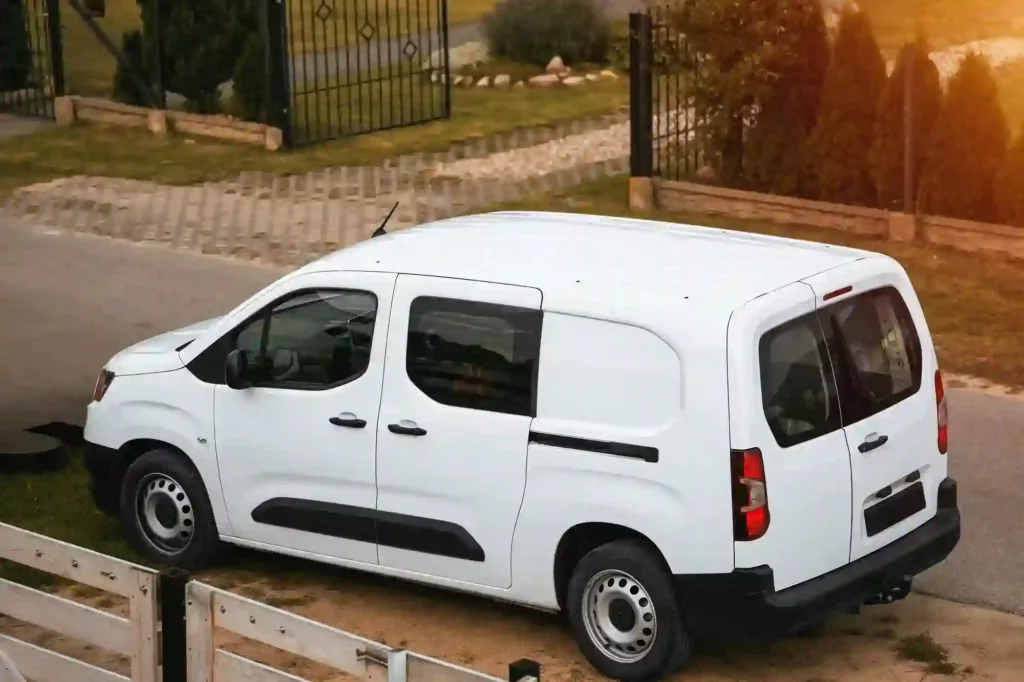 24/7 Mäusebekämpfung in Braunschweig – 365 Tage im Jahr für Sie erreichbar